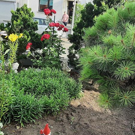 Ferienwohnung Andreea Saarlouis Ngoại thất bức ảnh
